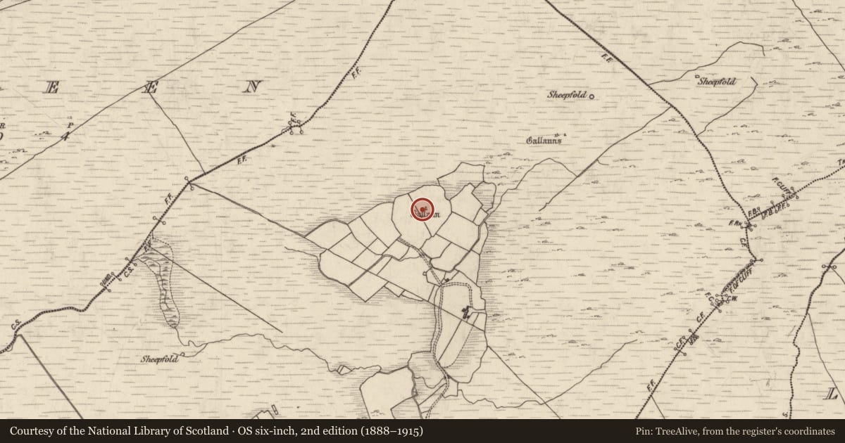 Ordnance Survey six-inch map, 2nd edition (1888–1915) covering the location of Standing stone, Letternadarriv, County Kerry, with a pin at the register's coordinates
