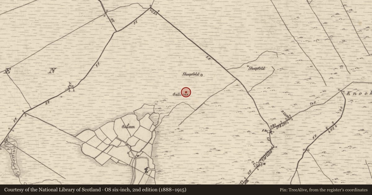 Ordnance Survey six-inch map, 2nd edition (1888–1915) covering the location of Anomalous stone group, Letternadarriv, County Kerry, with a pin at the register's coordinates