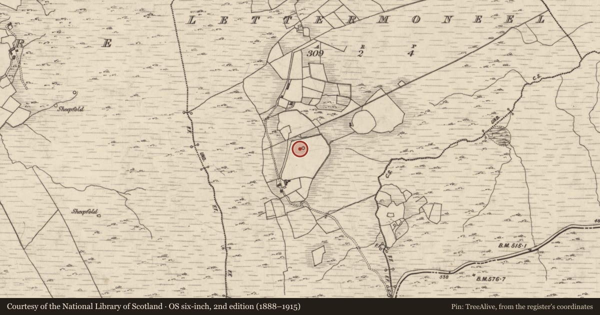 Ordnance Survey six-inch map, 2nd edition (1888–1915) covering the location of Enclosure, Lettermoneel, County Kerry, with a pin at the register's coordinates