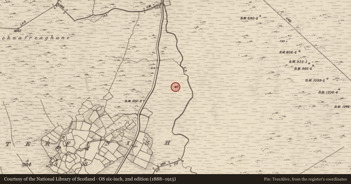 Ordnance Survey six-inch map, 2nd edition (1888–1915) covering the location of Enclosure, Letterfinish, County Kerry, with a pin at the register's coordinates