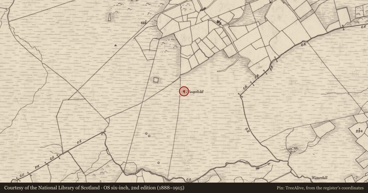 Ordnance Survey six-inch map, 2nd edition (1888–1915) covering the location of Hut site, Dromlusk, County Kerry, with a pin at the register's coordinates