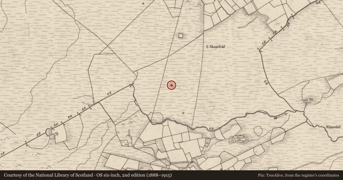 Ordnance Survey six-inch map, 2nd edition (1888–1915) covering the location of Enclosure, Dromlusk, County Kerry, with a pin at the register's coordinates