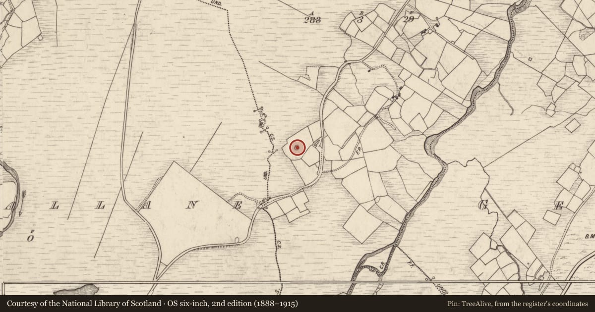 Ordnance Survey six-inch map, 2nd edition (1888–1915) covering the location of Barrow - ring-barrow, Ardsheelhane West, County Kerry, with a pin at the register's coordinates