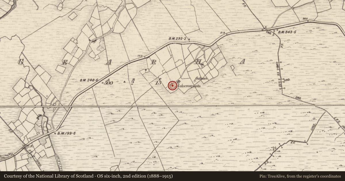 Ordnance Survey six-inch map, 2nd edition (1888–1915) covering the location of Ringfort - cashel, Gearha, County Kerry, with a pin at the register's coordinates