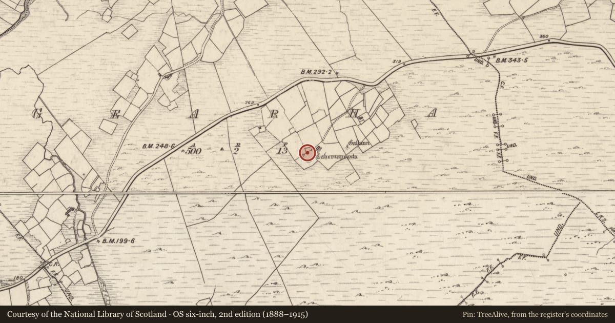 Ordnance Survey six-inch map, 2nd edition (1888–1915) covering the location of Hut site, Gearha, County Kerry, with a pin at the register's coordinates