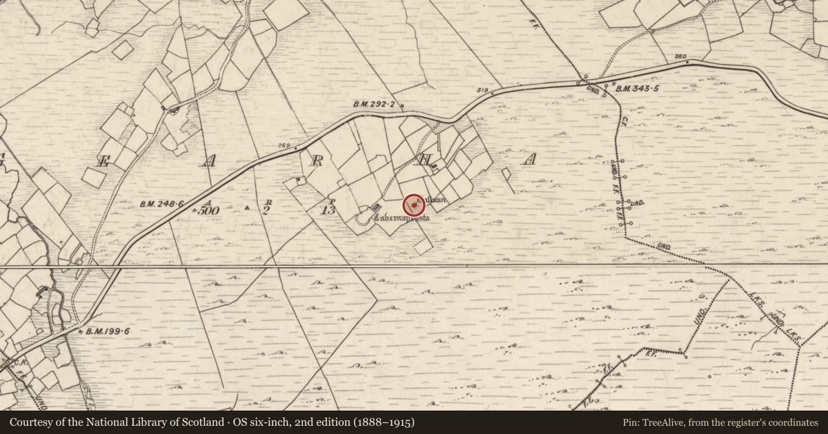 Ordnance Survey six-inch map, 2nd edition (1888–1915) covering the location of Standing stone, Gearha, County Kerry, with a pin at the register's coordinates