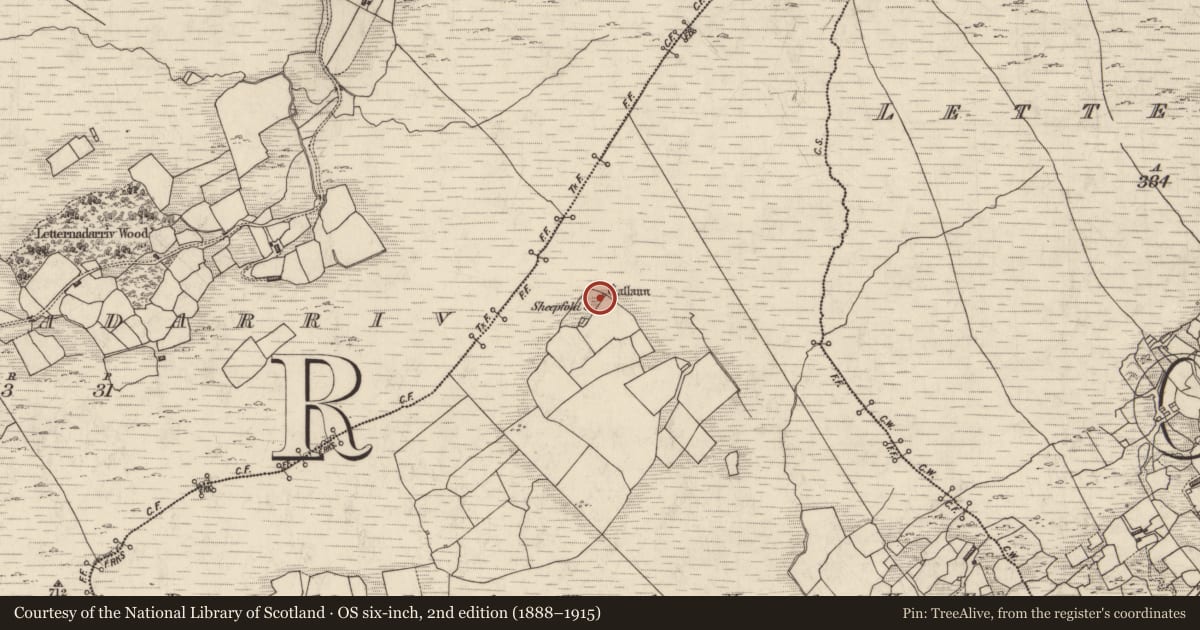 Ordnance Survey six-inch map, 2nd edition (1888–1915) covering the location of Standing stone, Boolananave, County Kerry, with a pin at the register's coordinates