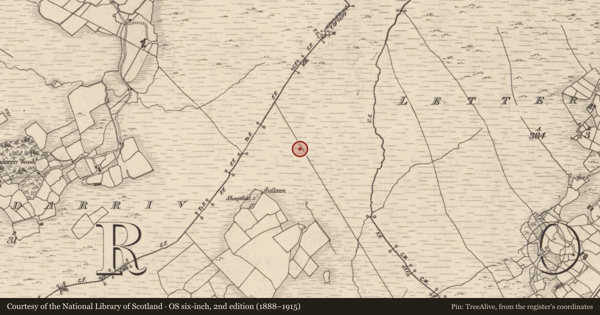 Ordnance Survey six-inch map, 2nd edition (1888–1915) covering the location of Hut site, Boolananave, County Kerry, with a pin at the register's coordinates