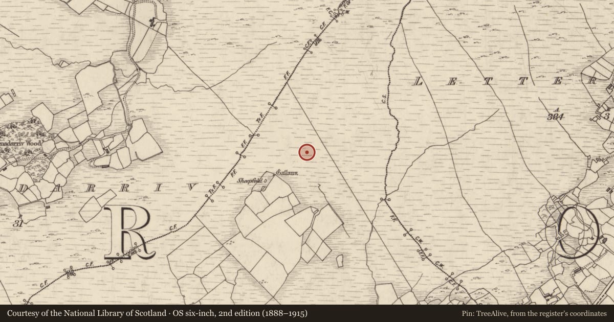 Ordnance Survey six-inch map, 2nd edition (1888–1915) covering the location of Field boundary, Boolananave, County Kerry, with a pin at the register's coordinates