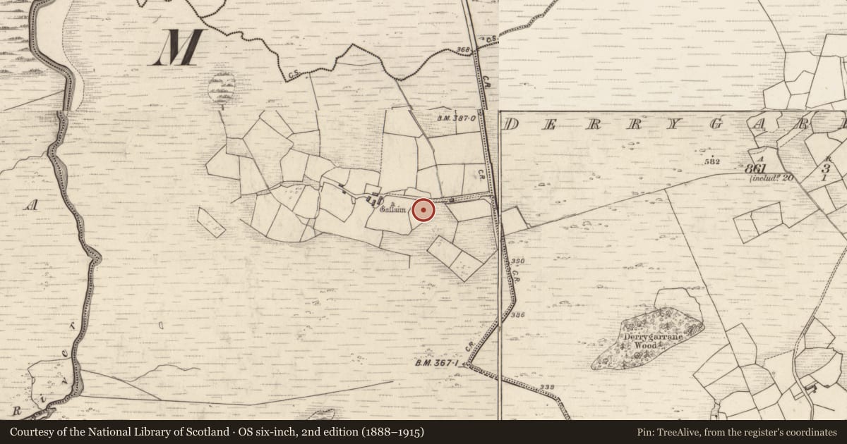 Ordnance Survey six-inch map, 2nd edition (1888–1915) covering the location of Souterrain, Gearha North, County Kerry, with a pin at the register's coordinates