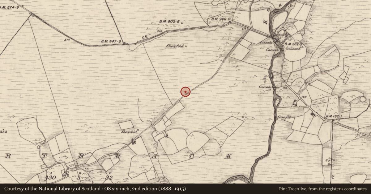Ordnance Survey six-inch map, 2nd edition (1888–1915) covering the location of Rock art, Gortbrack, County Kerry, with a pin at the register's coordinates