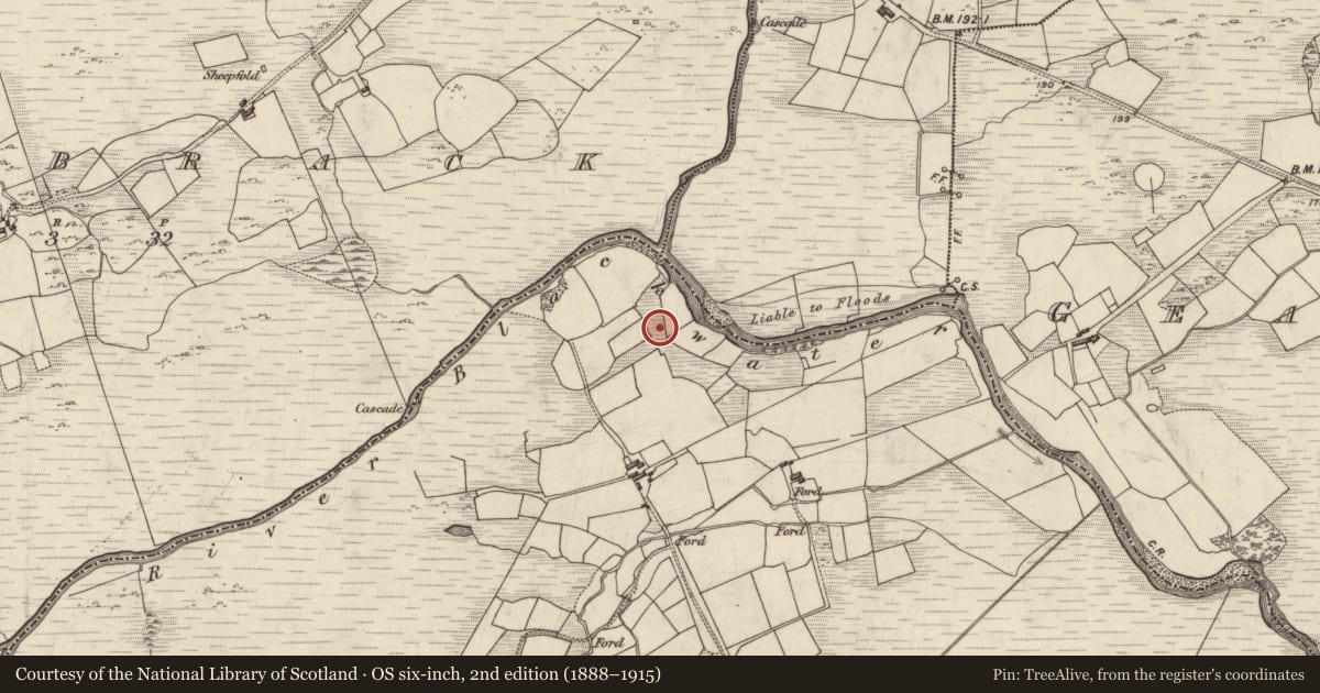 Ordnance Survey six-inch map, 2nd edition (1888–1915) covering the location of Souterrain, Dromlusk, County Kerry, with a pin at the register's coordinates