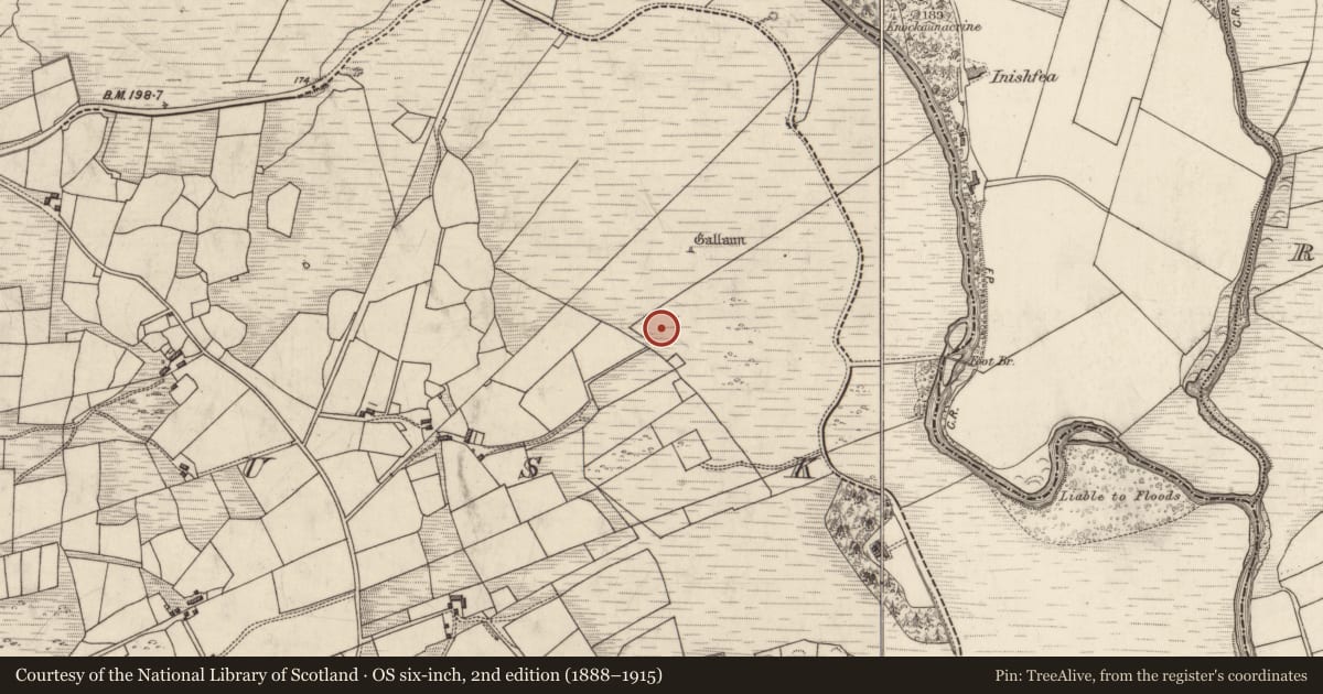 Ordnance Survey six-inch map, 2nd edition (1888–1915) covering the location of Barrow - ring-barrow, Dromlusk, County Kerry, with a pin at the register's coordinates