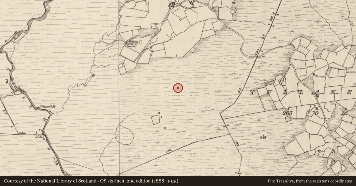 Ordnance Survey six-inch map, 2nd edition (1888–1915) covering the location of Standing stone, Fermoyle, County Kerry, with a pin at the register's coordinates