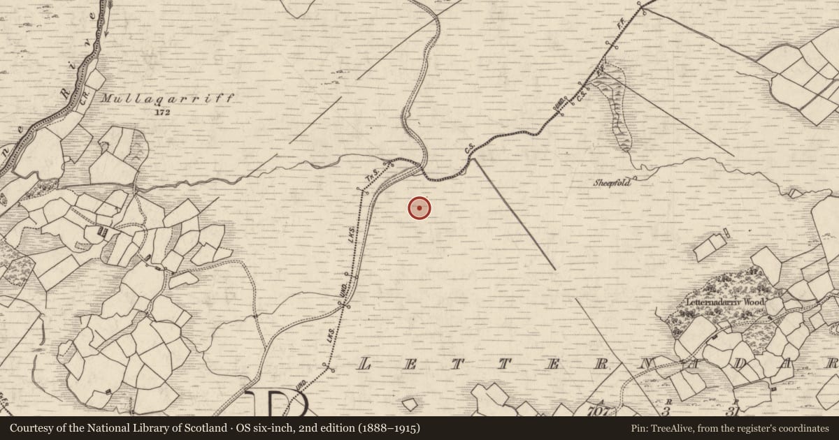 Ordnance Survey six-inch map, 2nd edition (1888–1915) covering the location of Souterrain, Letternadarriv, County Kerry, with a pin at the register's coordinates