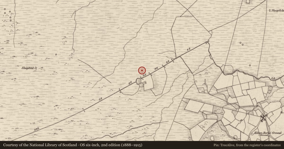 Ordnance Survey six-inch map, 2nd edition (1888–1915) covering the location of Standing stone - pair, Dromlusk, County Kerry, with a pin at the register's coordinates