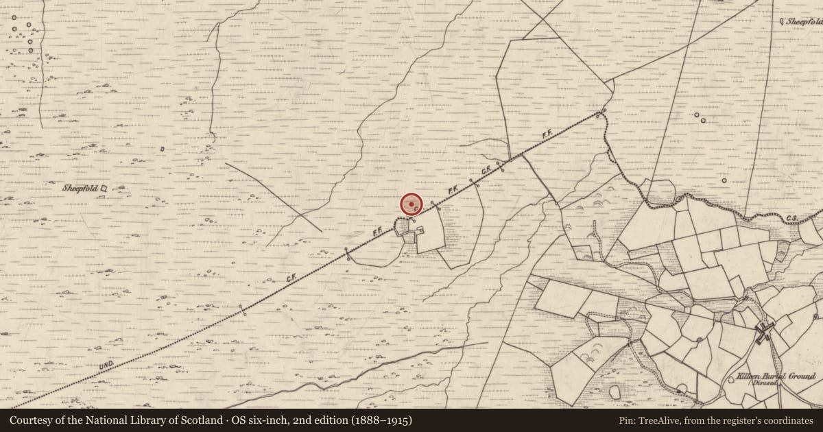 Ordnance Survey six-inch map, 2nd edition (1888–1915) covering the location of Standing stone, Dromlusk, County Kerry, with a pin at the register's coordinates