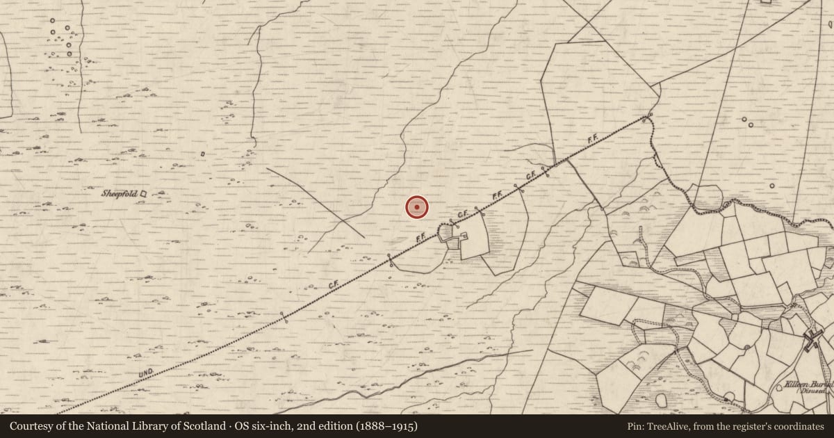 Ordnance Survey six-inch map, 2nd edition (1888–1915) covering the location of Enclosure, Dromlusk, County Kerry, with a pin at the register's coordinates