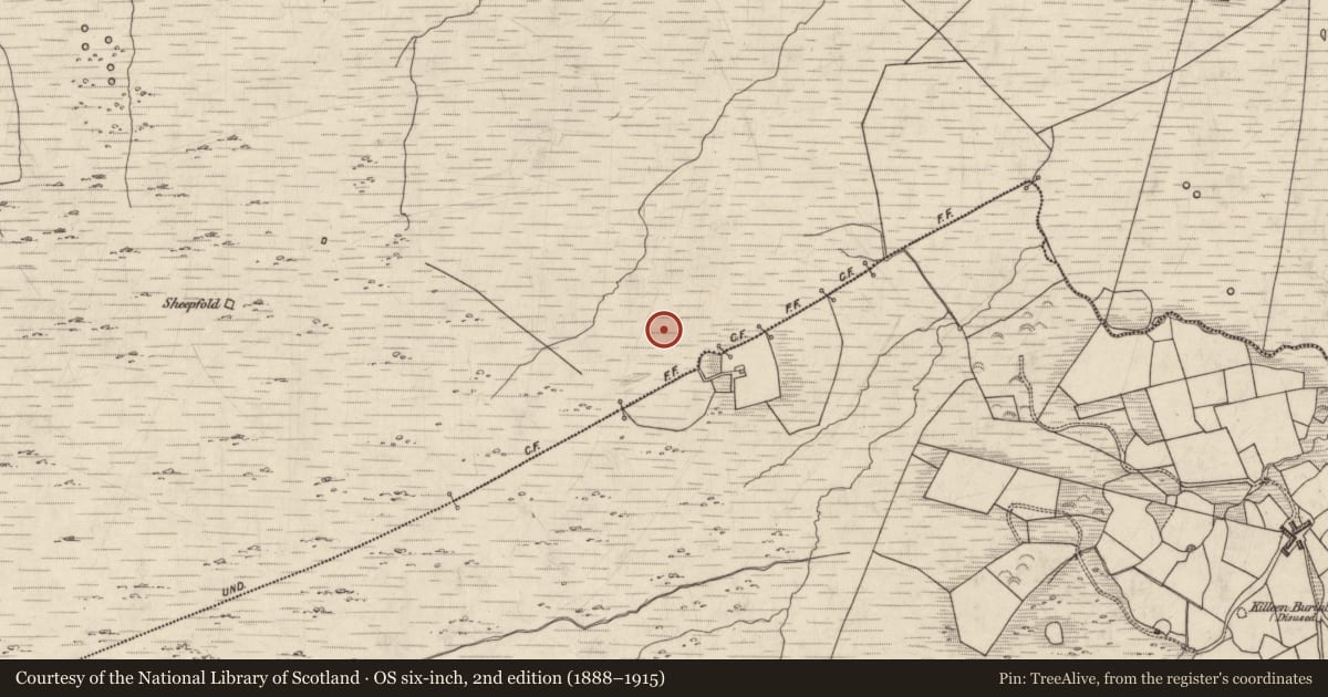 Ordnance Survey six-inch map, 2nd edition (1888–1915) covering the location of Hut site, Dromlusk, County Kerry, with a pin at the register's coordinates