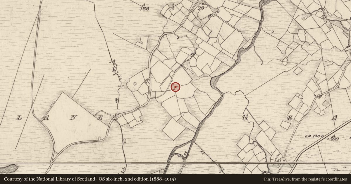 Ordnance Survey six-inch map, 2nd edition (1888–1915) covering the location of Souterrain, Ardsheelhane West, County Kerry, with a pin at the register's coordinates