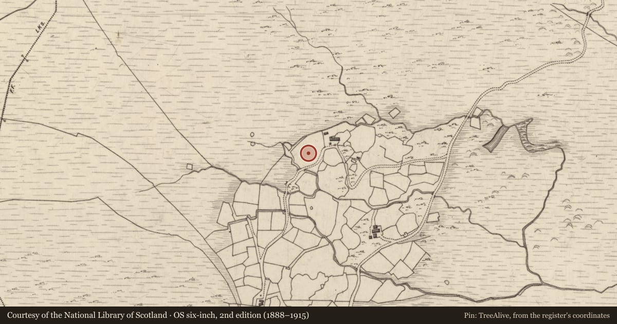 Ordnance Survey six-inch map, 2nd edition (1888–1915) covering the location of Rock art, Derryleagh, County Kerry, with a pin at the register's coordinates