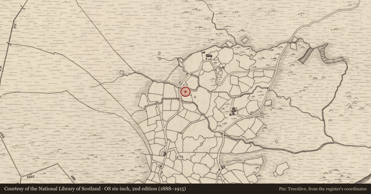 Ordnance Survey six-inch map, 2nd edition (1888–1915) covering the location of Rock art, Derryleagh, County Kerry, with a pin at the register's coordinates