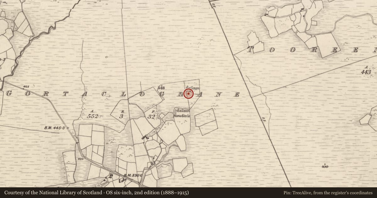 Ordnance Survey six-inch map, 2nd edition (1888–1915) covering the location of Standing stone, Gortacloghane, County Kerry, with a pin at the register's coordinates
