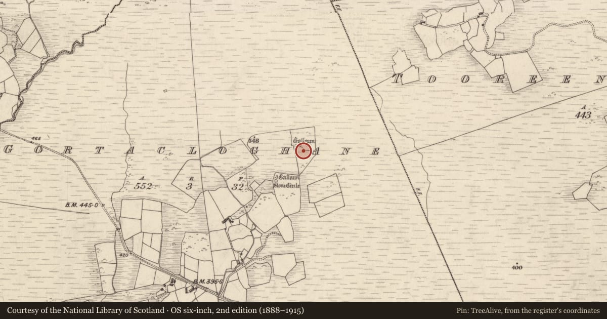 Ordnance Survey six-inch map, 2nd edition (1888–1915) covering the location of Enclosure, Gortacloghane, County Kerry, with a pin at the register's coordinates