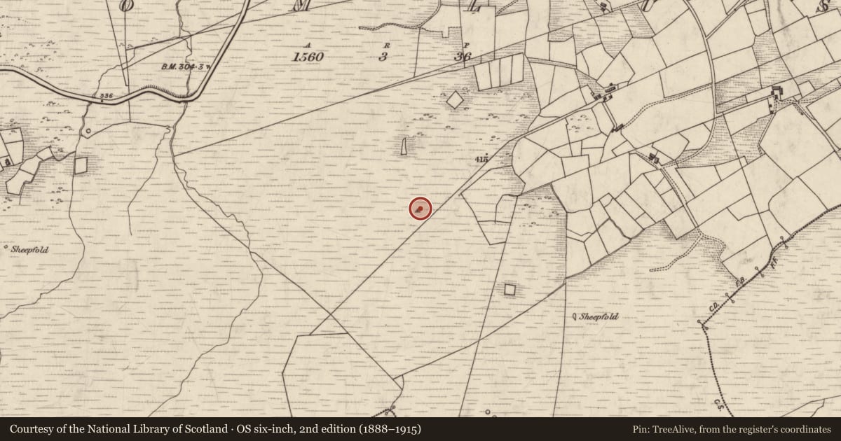 Ordnance Survey six-inch map, 2nd edition (1888–1915) covering the location of Standing stone, Dromlusk, County Kerry, with a pin at the register's coordinates
