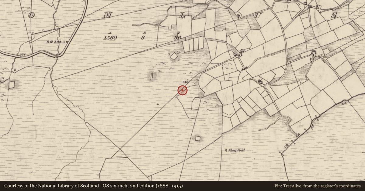 Ordnance Survey six-inch map, 2nd edition (1888–1915) covering the location of Field boundary, Dromlusk, County Kerry, with a pin at the register's coordinates