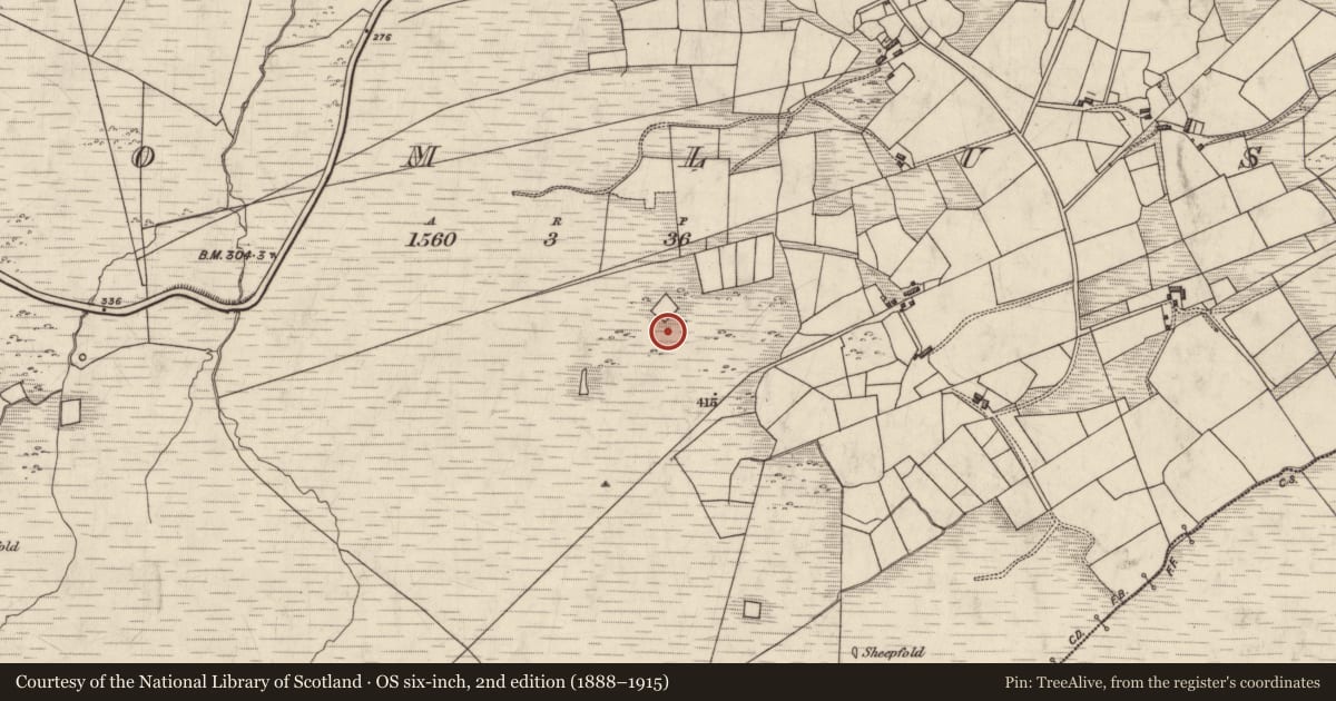 Ordnance Survey six-inch map, 2nd edition (1888–1915) covering the location of Enclosure, Dromlusk, County Kerry, with a pin at the register's coordinates