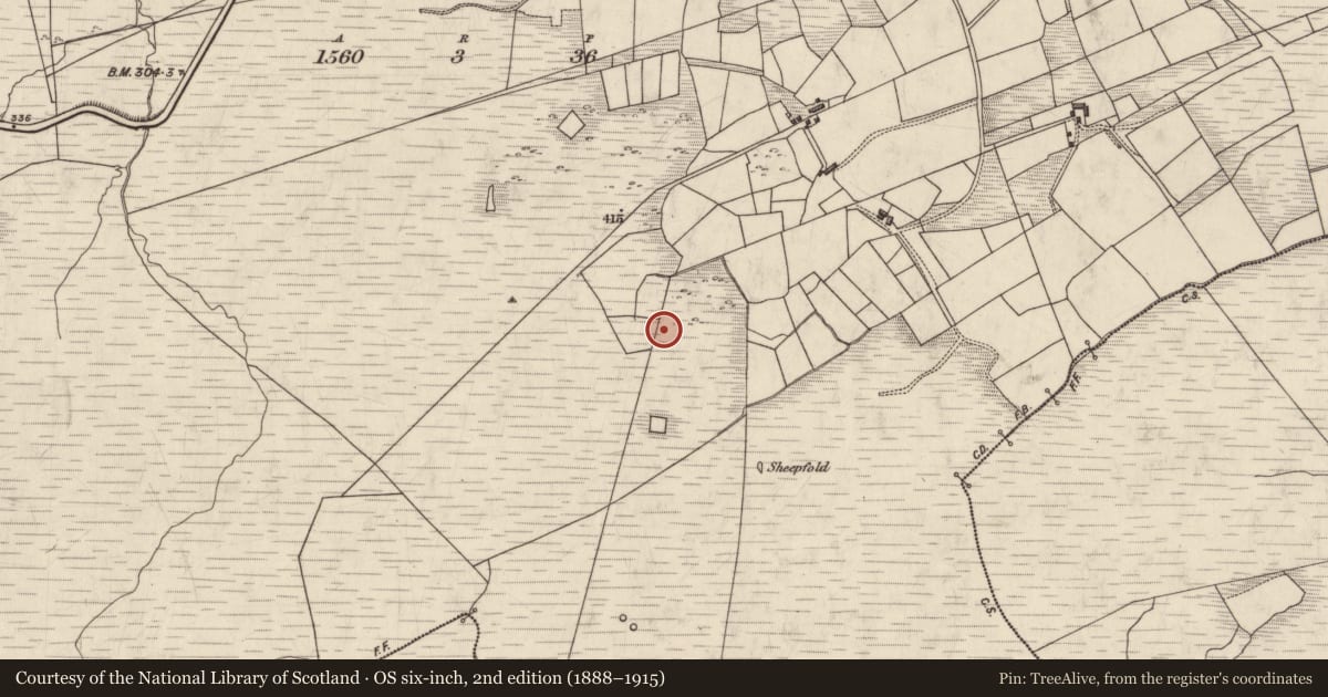 Ordnance Survey six-inch map, 2nd edition (1888–1915) covering the location of Road - gravel/stone trackway - peatland, Dromlusk, County Kerry, with a pin at the register's coordinates