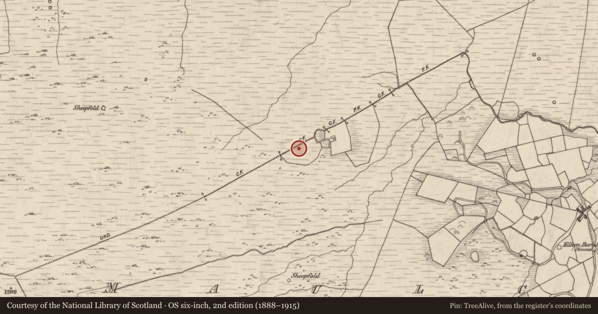 Ordnance Survey six-inch map, 2nd edition (1888–1915) covering the location of Fulacht fia, Maulcallee, County Kerry, with a pin at the register's coordinates