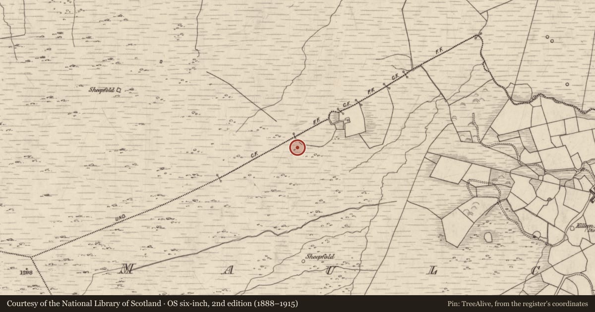 Ordnance Survey six-inch map, 2nd edition (1888–1915) covering the location of Standing stone, Maulcallee, County Kerry, with a pin at the register's coordinates