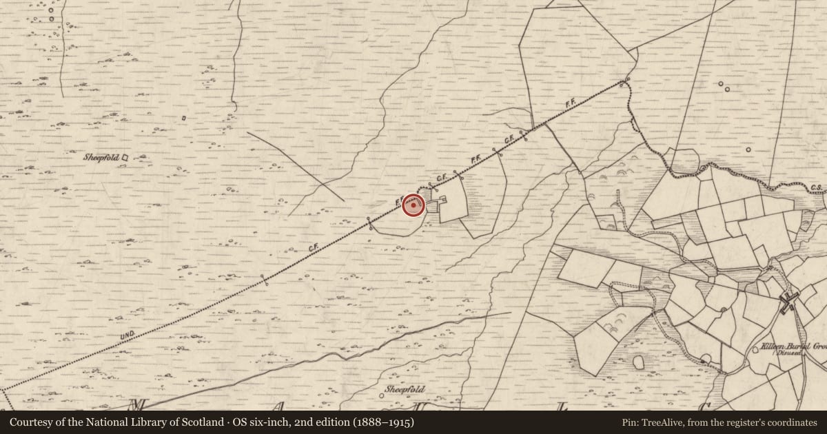 Ordnance Survey six-inch map, 2nd edition (1888–1915) covering the location of Standing stone, Maulcallee, County Kerry, with a pin at the register's coordinates
