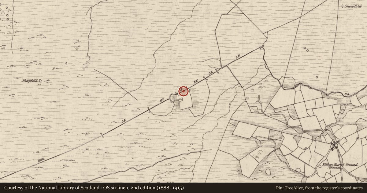 Ordnance Survey six-inch map, 2nd edition (1888–1915) covering the location of Hut site, Maulcallee, County Kerry, with a pin at the register's coordinates