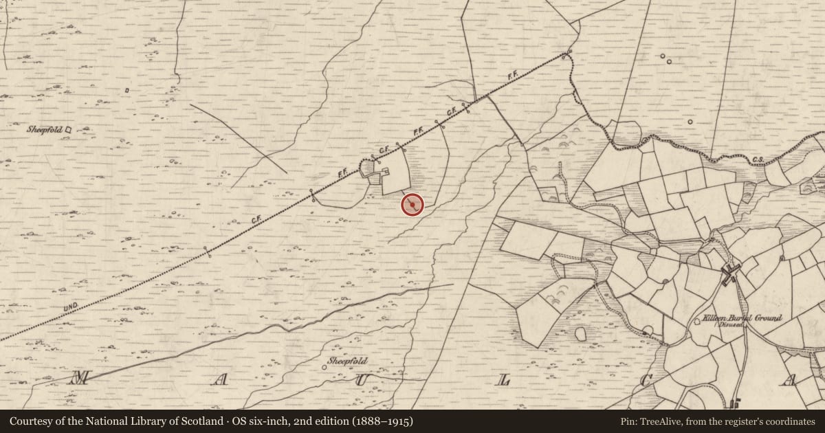 Ordnance Survey six-inch map, 2nd edition (1888–1915) covering the location of Hut site, Maulcallee, County Kerry, with a pin at the register's coordinates