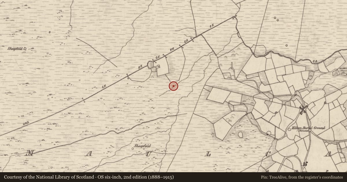 Ordnance Survey six-inch map, 2nd edition (1888–1915) covering the location of Fulacht fia, Maulcallee, County Kerry, with a pin at the register's coordinates