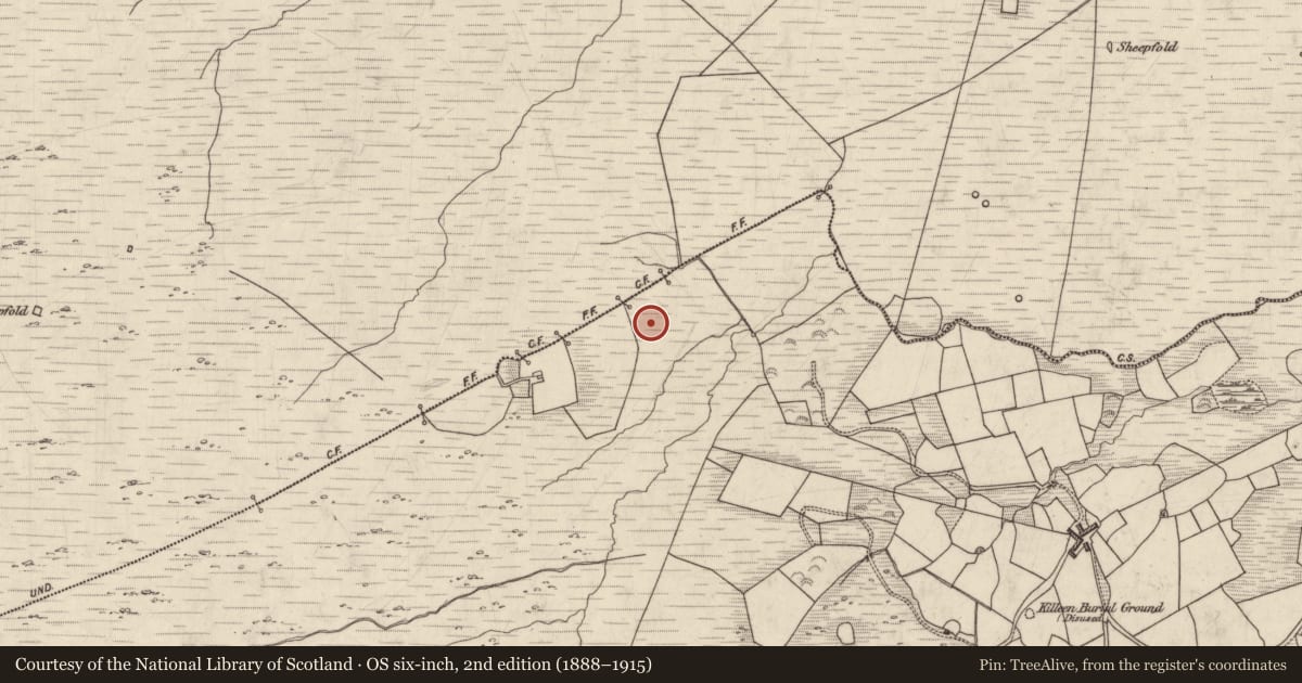 Ordnance Survey six-inch map, 2nd edition (1888–1915) covering the location of Cairn - unclassified, Maulcallee, County Kerry, with a pin at the register's coordinates