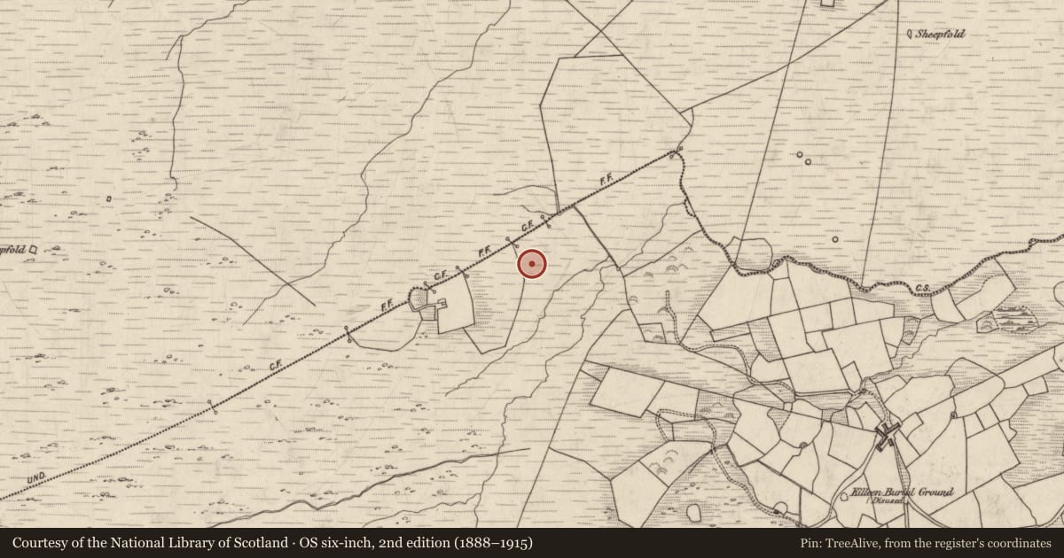 Ordnance Survey six-inch map, 2nd edition (1888–1915) covering the location of Cairn - unclassified, Maulcallee, County Kerry, with a pin at the register's coordinates