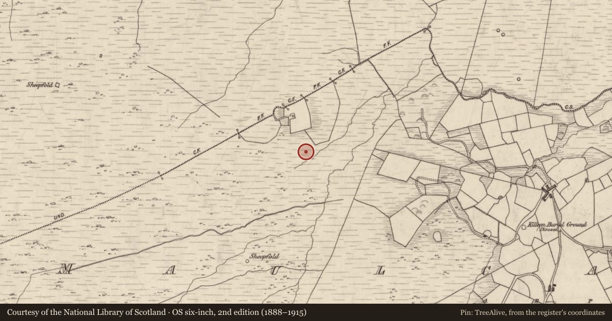 Ordnance Survey six-inch map, 2nd edition (1888–1915) covering the location of Field boundary, Maulcallee, County Kerry, with a pin at the register's coordinates