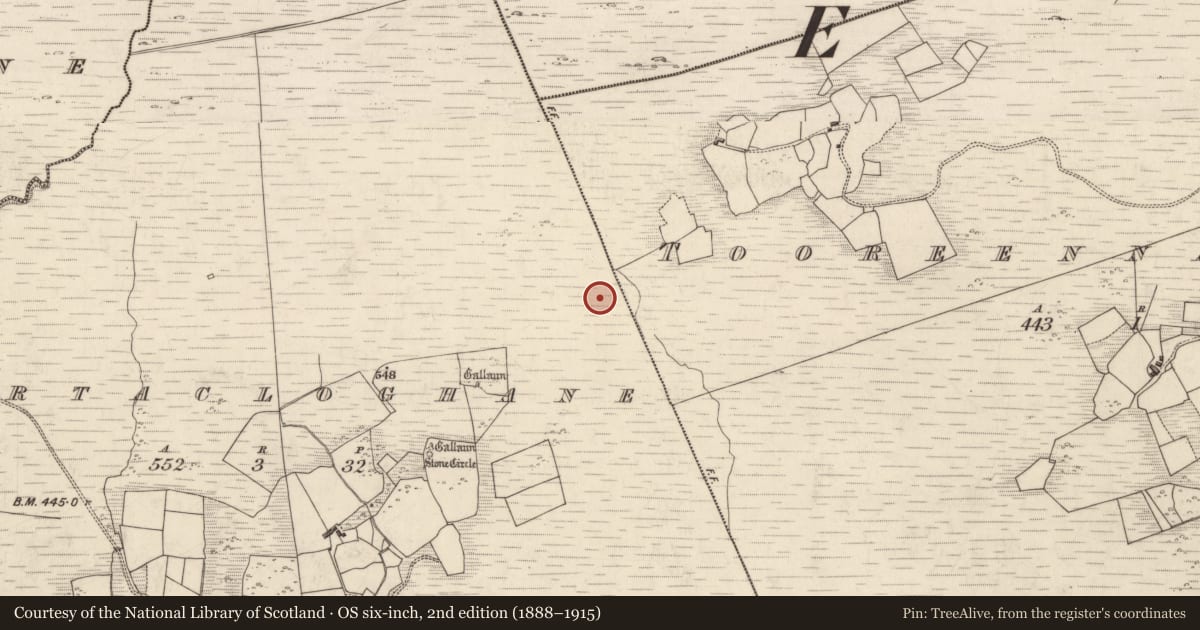 Ordnance Survey six-inch map, 2nd edition (1888–1915) covering the location of Rock art, Gortacloghane, County Kerry, with a pin at the register's coordinates