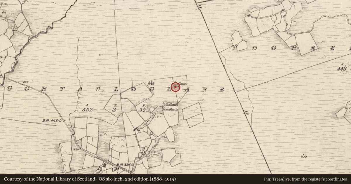 Ordnance Survey six-inch map, 2nd edition (1888–1915) covering the location of Rock art, Gortacloghane, County Kerry, with a pin at the register's coordinates