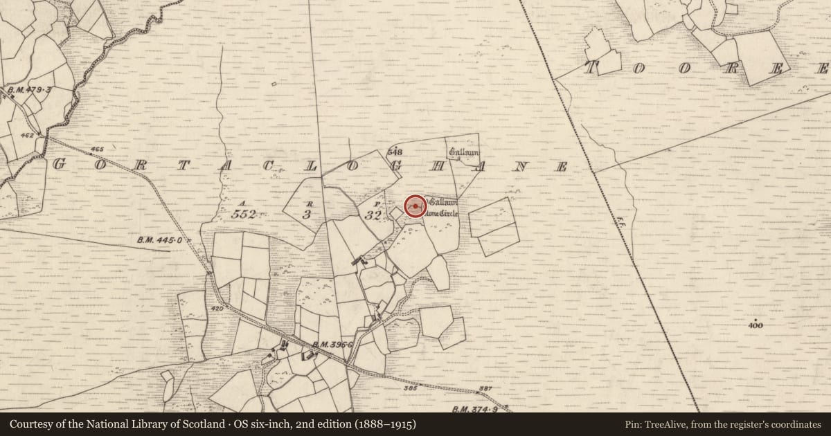 Ordnance Survey six-inch map, 2nd edition (1888–1915) covering the location of Rock art, Gortacloghane, County Kerry, with a pin at the register's coordinates