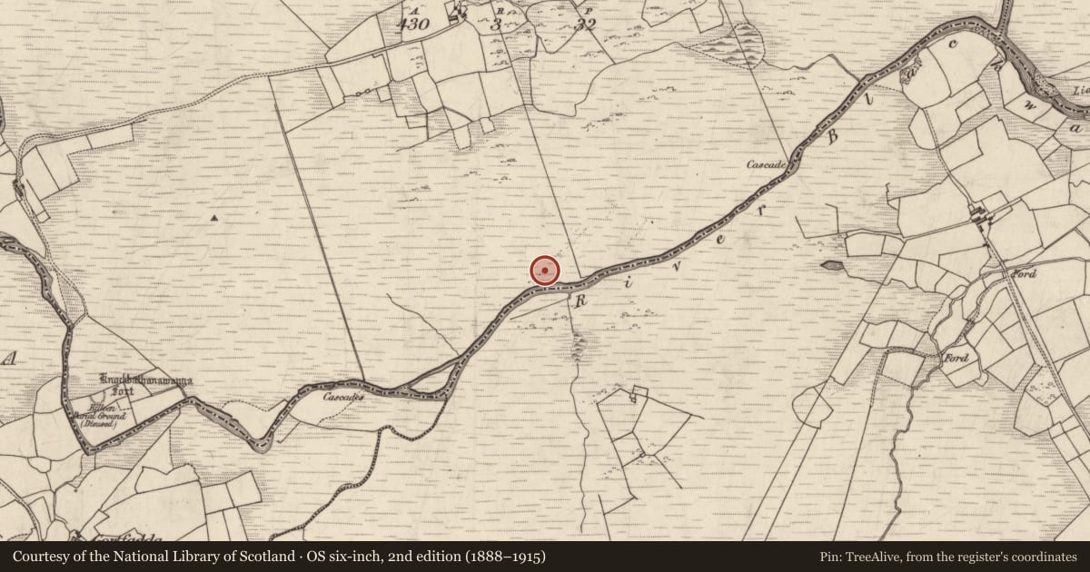 Ordnance Survey six-inch map, 2nd edition (1888–1915) covering the location of Rock art, Gortbrack, County Kerry, with a pin at the register's coordinates