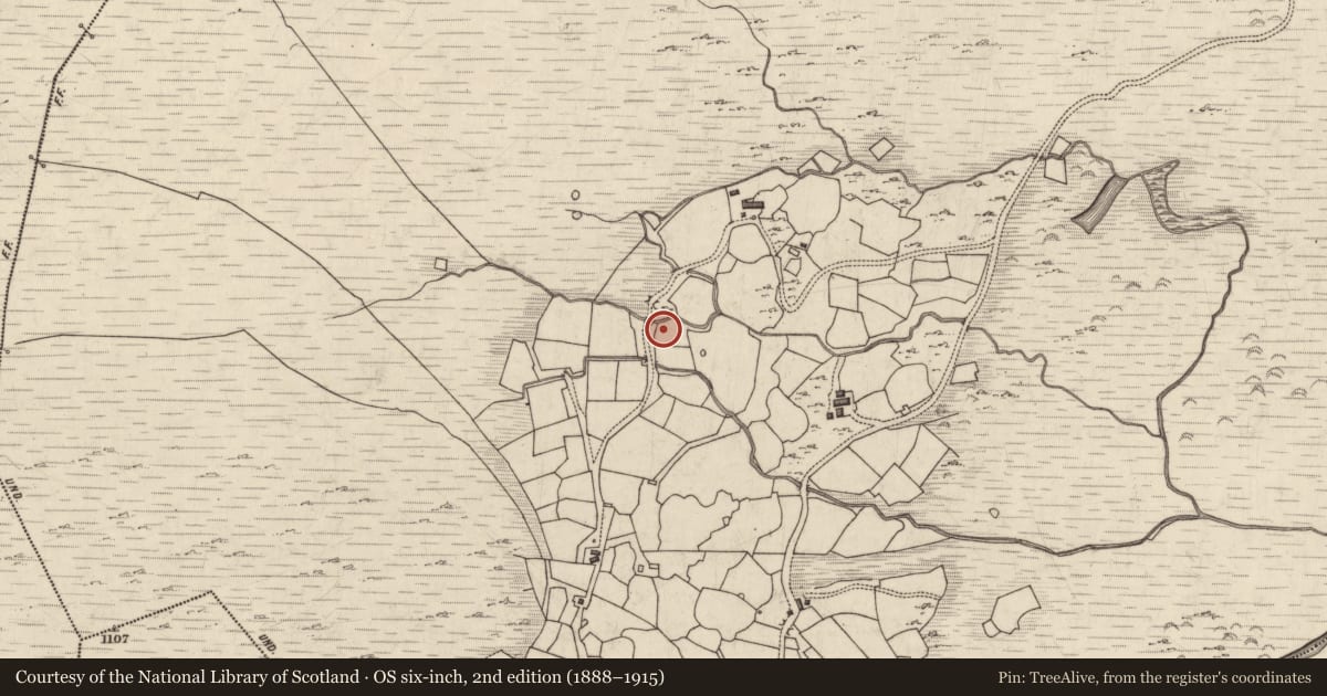 Ordnance Survey six-inch map, 2nd edition (1888–1915) covering the location of Rock art, Derryleagh, County Kerry, with a pin at the register's coordinates
