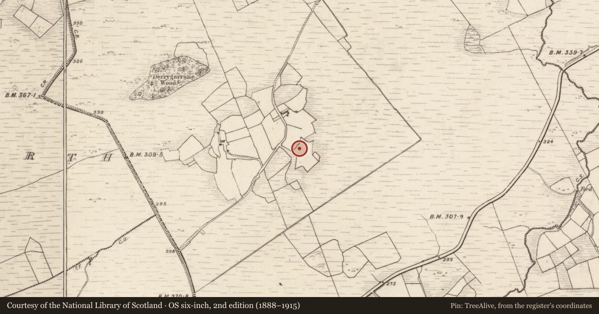 Ordnance Survey six-inch map, 2nd edition (1888–1915) covering the location of Standing stone - pair, Derrygarrane South, County Kerry, with a pin at the register's coordinates