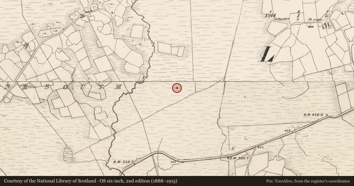 Ordnance Survey six-inch map, 2nd edition (1888–1915) covering the location of Field system, Scarteen, County Kerry, with a pin at the register's coordinates