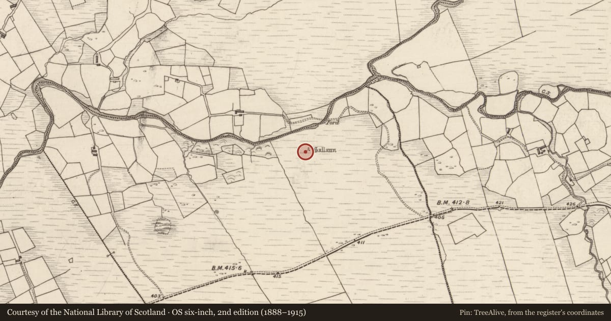 Ordnance Survey six-inch map, 2nd edition (1888–1915) covering the location of Standing stone, Maulnagower, County Kerry, with a pin at the register's coordinates