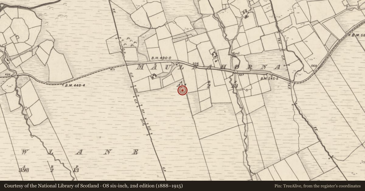Ordnance Survey six-inch map, 2nd edition (1888–1915) covering the location of Ringfort - rath, Maulnahorna, County Kerry, with a pin at the register's coordinates
